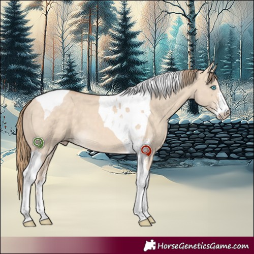 Horse Color:Perlino Dun Sabino Tobiano 