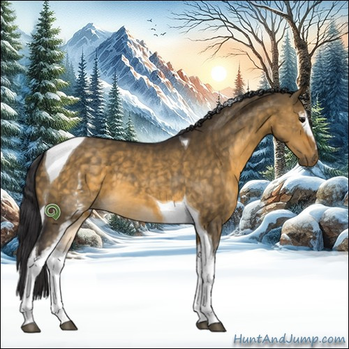 Horse Color:White Spotted Buckskin Dun Tobiano 