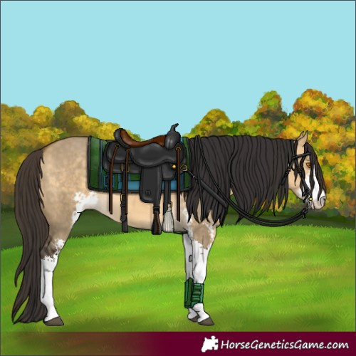 Horse Color:Buckskin Dun Sabino 