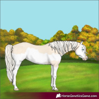 Horse Color:Cremello Splash  and Cremello Splash 