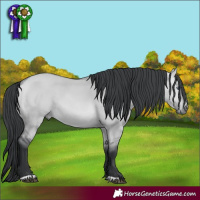 Horse Color:Brown Chinchilla Dun