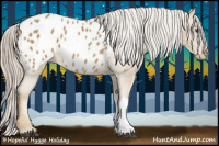 Horse Color:Palomino Appaloosa