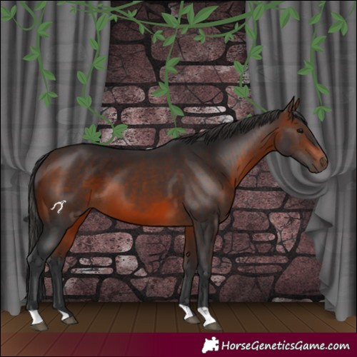 Horse Color:Brown 