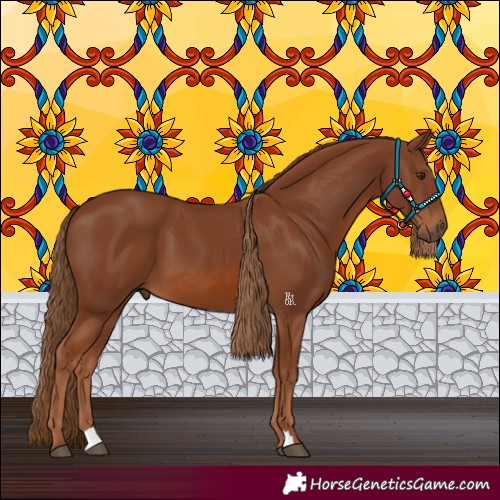 Horse Color:Chestnut 