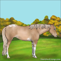 Horse Color:Chocolate Palomino Pearl Tobiano Frame  and Chocolate Palomino Pearl Tobiano Frame 