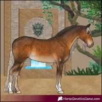 Horse Color:Chocolate Palomino 