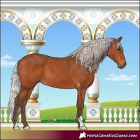 Horse Color:Silver Bay 