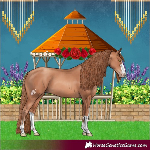 Horse Color:Gold Champagne