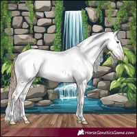 Horse Color:Chestnut Splash Varnish 