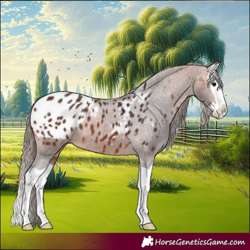 Horse Color:Bay Splash Blanket
