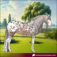 Horse Color:Bay Splash Blanket 