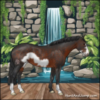 Horse Color:Brown Frame 