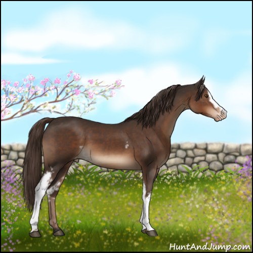 Horse Color:White Spotted Liver Chestnut Varnish 