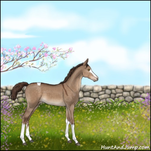 Horse Color:White Spotted Liver Red Dun Tobiano 