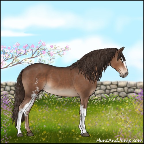 Horse Color:White Spotted Liver Chestnut 