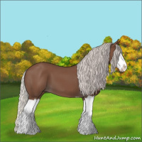 Horse Color:Silver Black Splash 