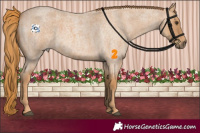 Horse Color:Red Roan Rabicano 