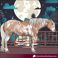 Horse Color:Chocolate Silver Black Pearl Sabino Tobiano 