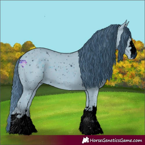 Horse Color:ERROR: UNKNOWN ANOMALY