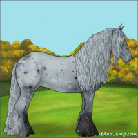 Horse Color:ERROR: UNKNOWN ANOMALY