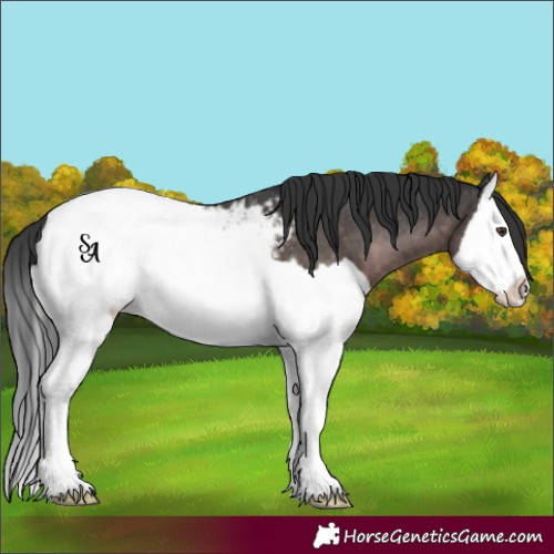 Horse Color:Platinum Liver Chestnut Splash Snowcap