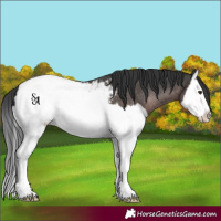 Horse Color:Platinum Liver Chestnut Splash Snowcap 