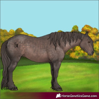 Horse Color:Platinum Liver Chestnut 