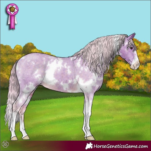 Horse Color:Watercolor White Spotted Chocolate Palomino Sabino Appaloosa