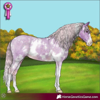 Horse Color:Watercolor White Spotted Chocolate Palomino Sabino Varnish 