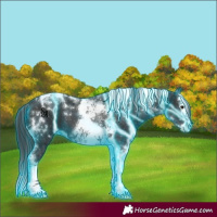 Horse Color:Thunderstruck Black Splash Tobiano 