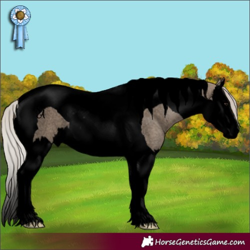 Horse Color:Void Silver Grullo Roan Splash Tobiano 