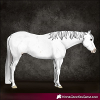 Horse Color:Brown Sabino