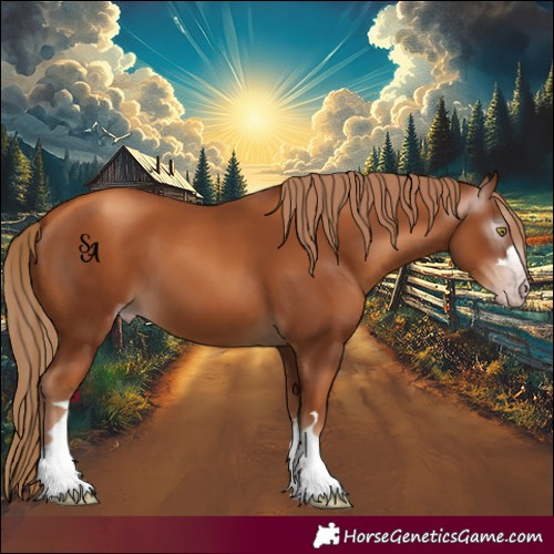 Horse Color:Gray Gold Champagne 