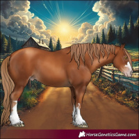Horse Color:Gray Gold Champagne 