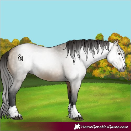 Horse Color:Gray Buckskin Dun 