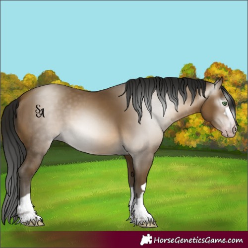 Horse Color:Gray Sable Cream Champagne 