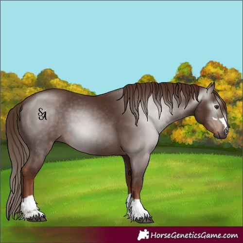 Horse Color:Gray Chestnut 