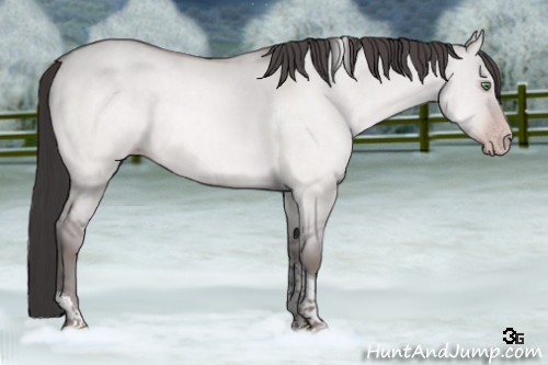 Horse Color:Platinum Sable Champagne Dun Tobiano 