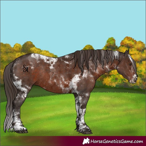 Horse Color:Liver Chestnut Sabino Tobiano Rabicano 