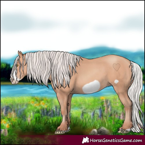 Horse Color:Silver Amber Champagne Frame 