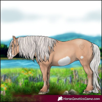 Horse Color:Silver Amber Champagne Frame 