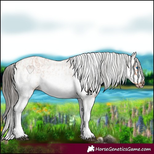 Horse Color:White Spotted Bay Splash  and White Spotted Bay Splash Frame 