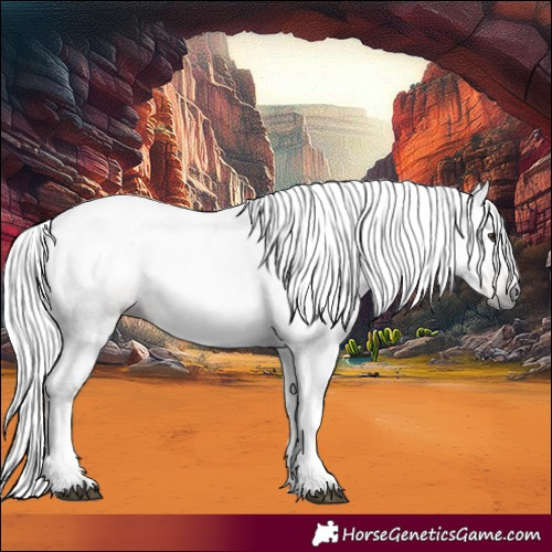Horse Color:Gray Chestnut 