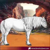 Horse Color:Gray Chestnut 