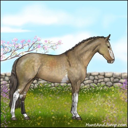 Horse Color:White Spotted Chocolate Palomino Dun Sabino 