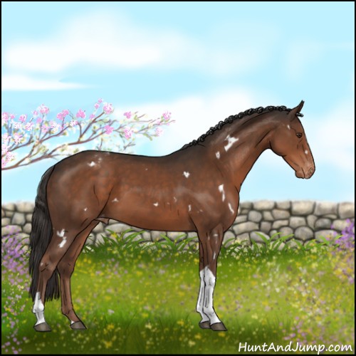 Horse Color:White Spotted Liver Chestnut Tobiano Blanket 