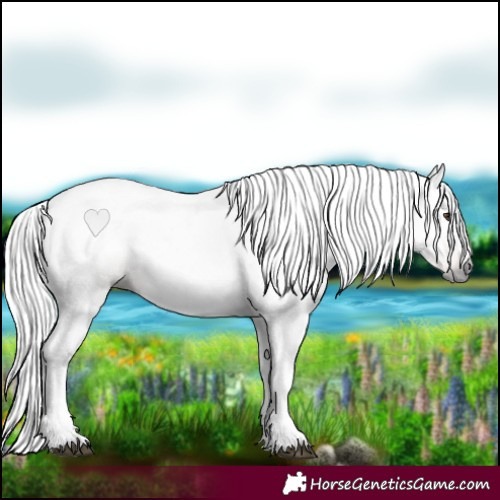 Horse Color:Gray Chestnut 