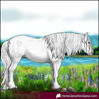 Horse Color:Gray Chestnut 