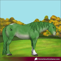 Horse Color:Watercolor Brown Tobiano Varnish Rabicano 