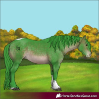 Horse Color:Watercolor Brown Tobiano Appaloosa Rabicano
